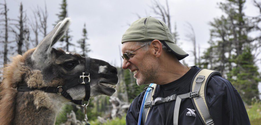 Rates and Trips at a Glance