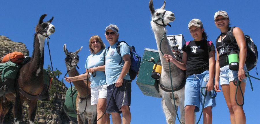 Family Vacation Packages