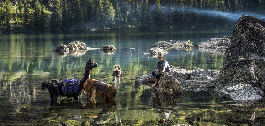 4 or 5 Day Llama Treks